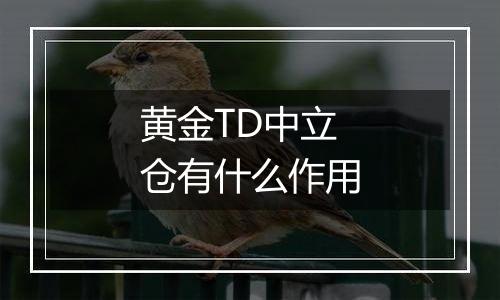 黄金TD中立仓有什么作用