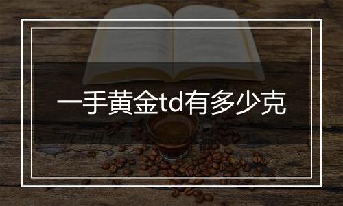 一手黄金td有多少克