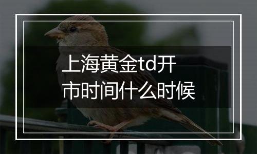 上海黄金td开市时间什么时候