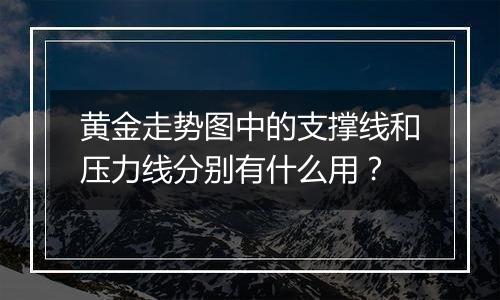 黄金走势图中的支撑线和压力线分别有什么用？