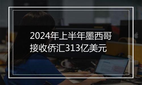 2024年上半年墨西哥接收侨汇313亿美元