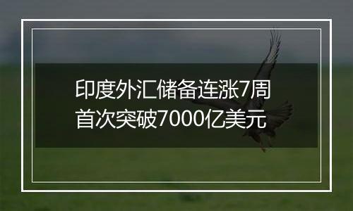 印度外汇储备连涨7周 首次突破7000亿美元