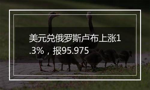 美元兑俄罗斯卢布上涨1.3%，报95.975