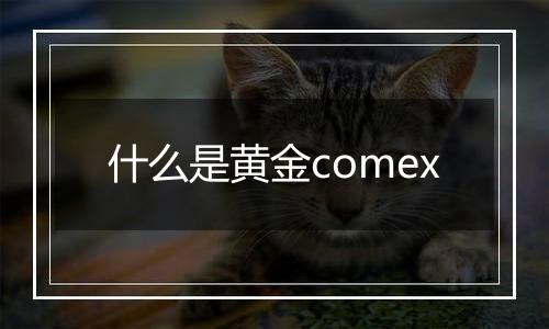 什么是黄金comex