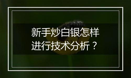 新手炒白银怎样进行技术分析？