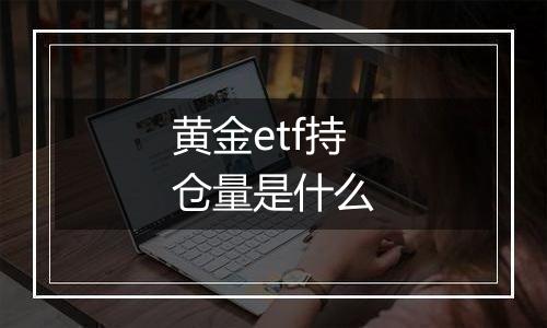 黄金etf持仓量是什么