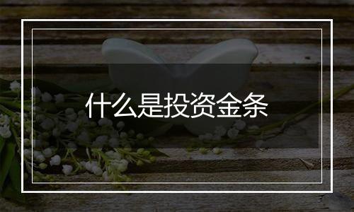 什么是投资金条