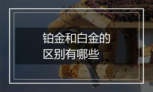 铂金和白金的区别有哪些