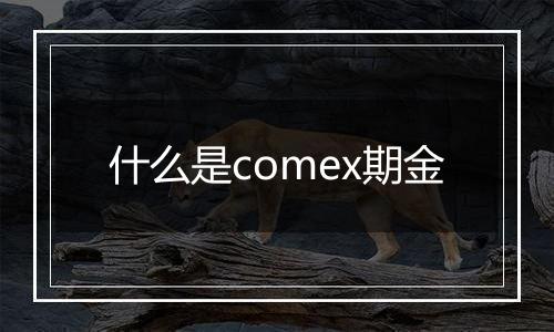 什么是comex期金