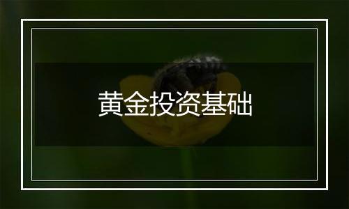 黄金投资基础