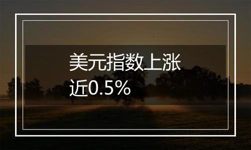 美元指数上涨近0.5%