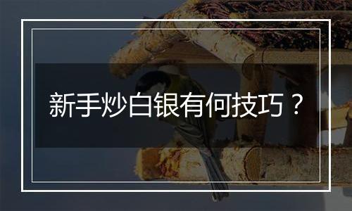 新手炒白银有何技巧？