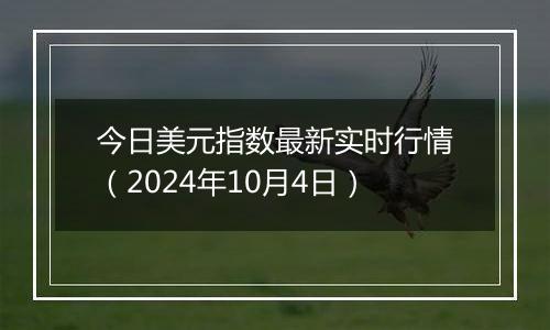 今日美元指数最新实时行情（2024年10月4日）