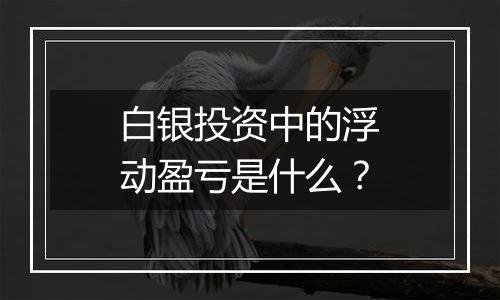 白银投资中的浮动盈亏是什么？