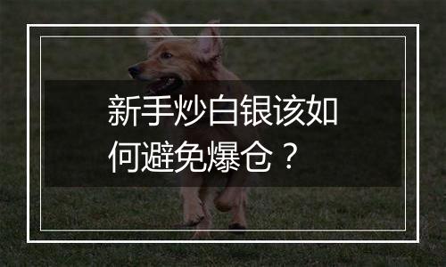 新手炒白银该如何避免爆仓？