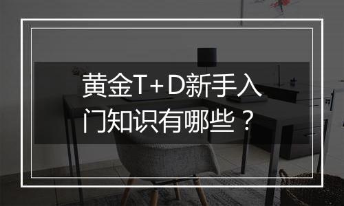 黄金T+D新手入门知识有哪些？