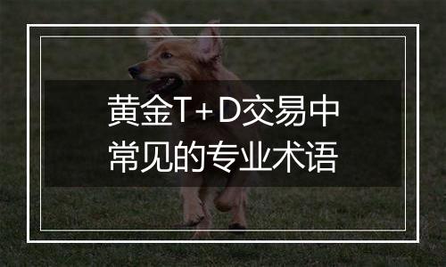 黄金T+D交易中常见的专业术语