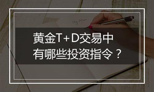 黄金T+D交易中有哪些投资指令？