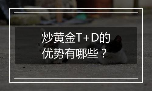 炒黄金T+D的优势有哪些？