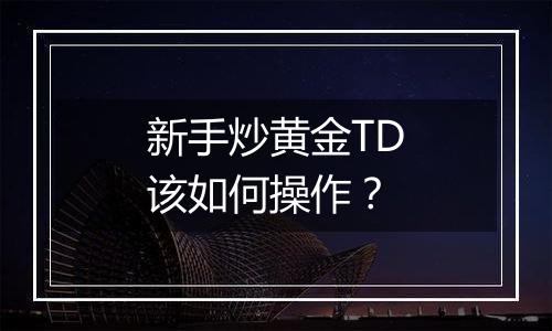 新手炒黄金TD该如何操作？