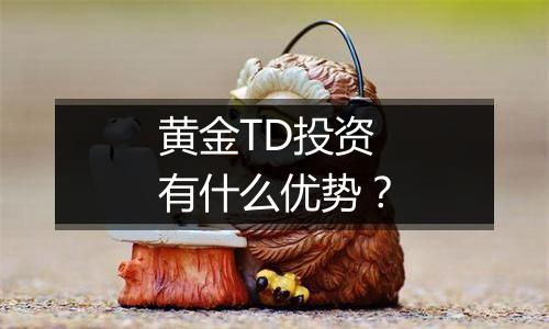 黄金TD投资有什么优势？