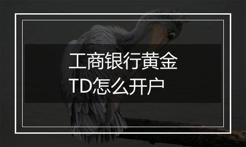 工商银行黄金TD怎么开户