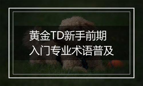 黄金TD新手前期入门专业术语普及