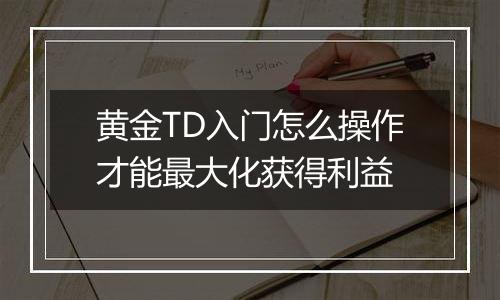 黄金TD入门怎么操作才能最大化获得利益