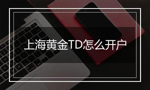 上海黄金TD怎么开户