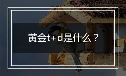 黄金t+d是什么？