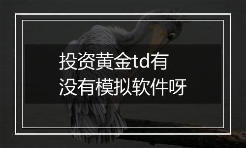 投资黄金td有没有模拟软件呀