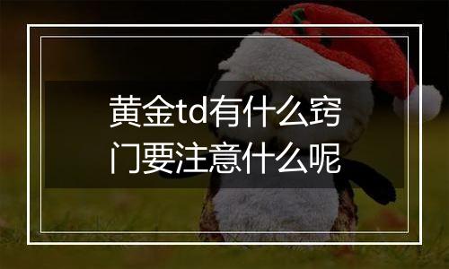 黄金td有什么窍门要注意什么呢