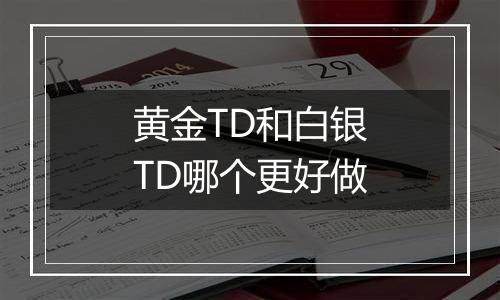 黄金TD和白银TD哪个更好做