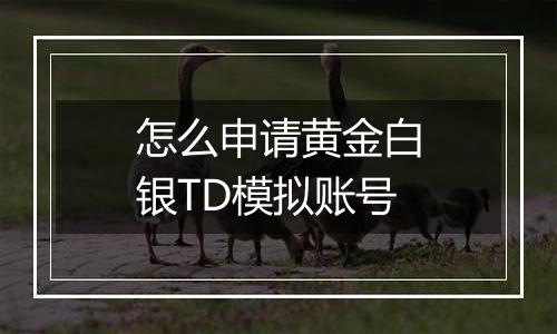 怎么申请黄金白银TD模拟账号