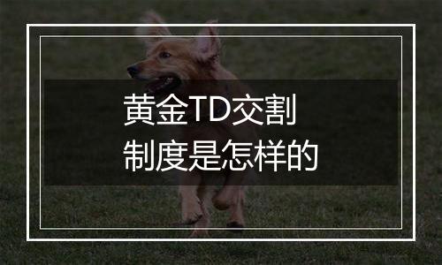 黄金TD交割制度是怎样的