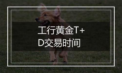 工行黄金T+D交易时间