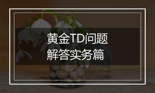 黄金TD问题解答实务篇