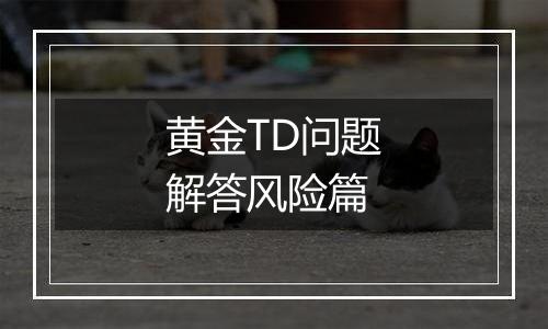 黄金TD问题解答风险篇