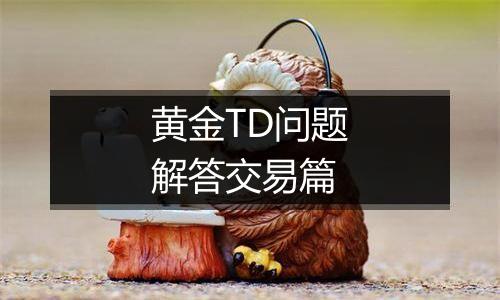 黄金TD问题解答交易篇