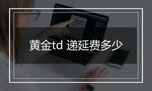 黄金td 递延费多少