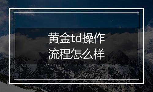 黄金td操作流程怎么样