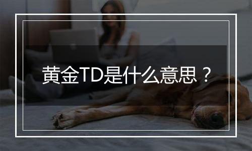 黄金TD是什么意思？