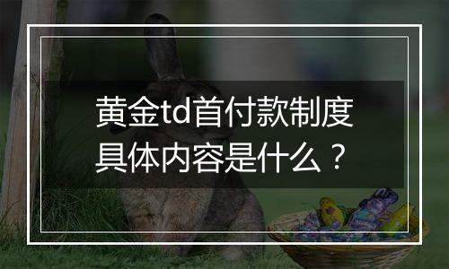 黄金td首付款制度具体内容是什么？