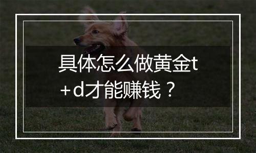 具体怎么做黄金t+d才能赚钱？