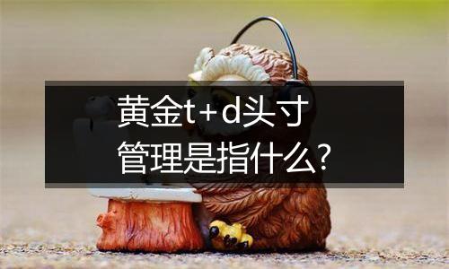 黄金t+d头寸管理是指什么?