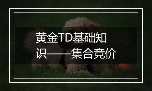 黄金TD基础知识——集合竞价