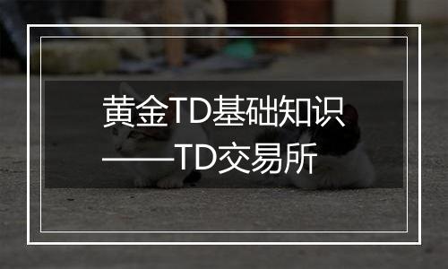 黄金TD基础知识——TD交易所