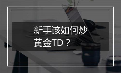 新手该如何炒黄金TD？