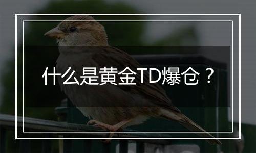 什么是黄金TD爆仓？