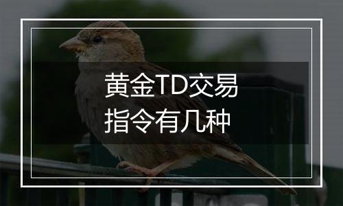 黄金TD交易指令有几种